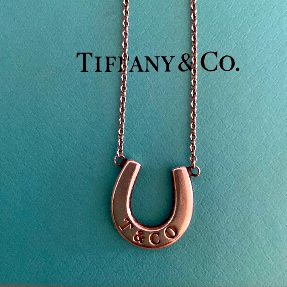 Taking inquires MINT! Rare T & Co Horseshoe LIKE NEW! 🐴 🐎 horse shoe
